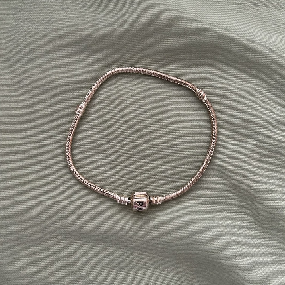 Pandora snake bracelet chain